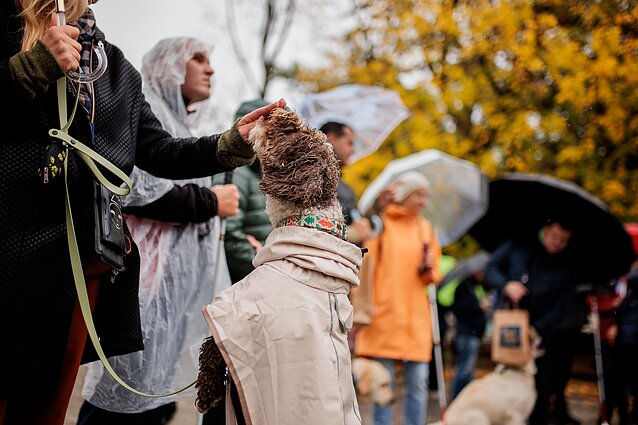 Veterinaras ragina ženklinti augintinius: tai kaip asmens kodas