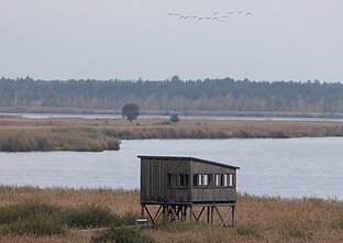 Savaitgalį į šiltus kraštus išlydėti sparnuočiai