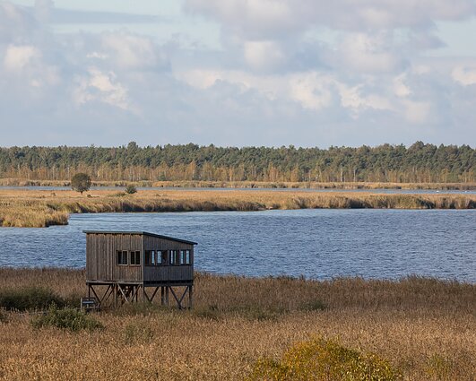 Savaitgalį į šiltus kraštus išlydėti sparnuočiai
