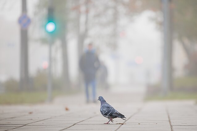 Ekonomika, asociatyvi nuotr. 