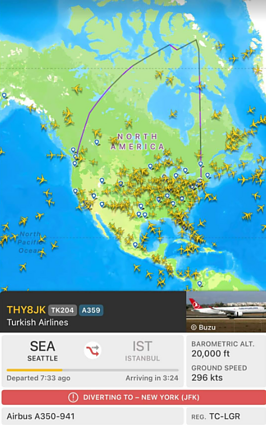 Zmarl pilot „Turkish Airlines“ 