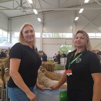 Dėl darbuotojų stygiaus mažėja avių bandos