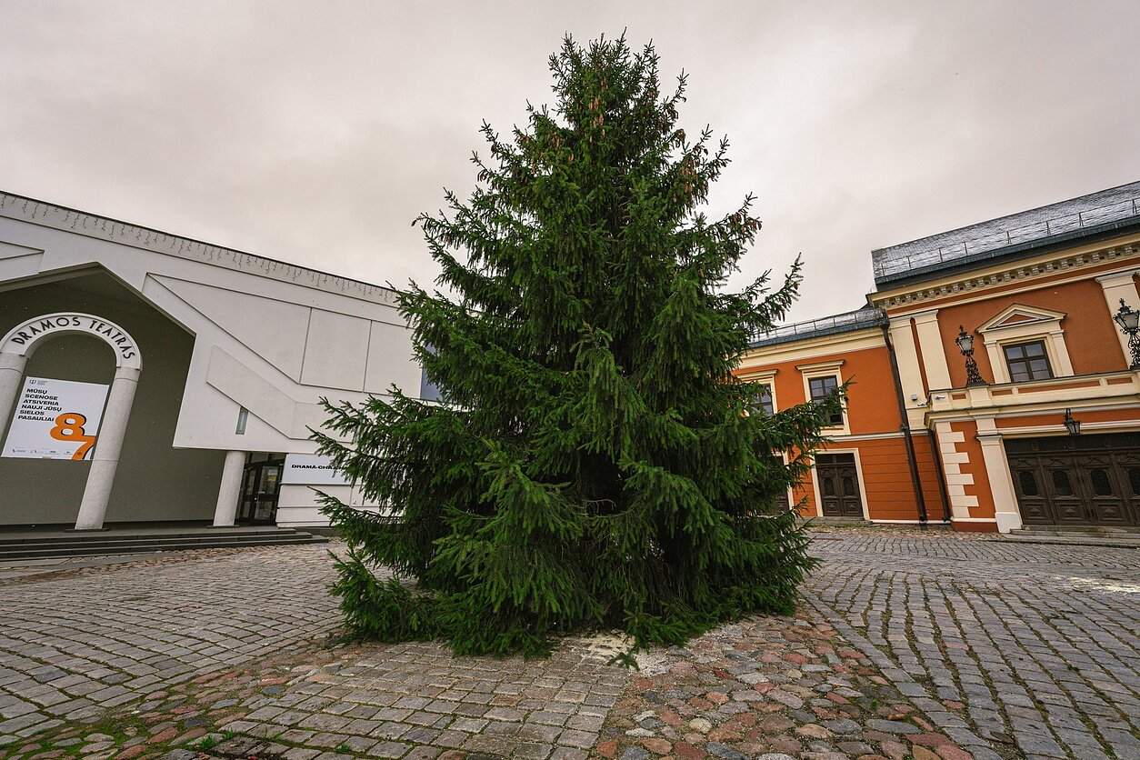 Kalėdų eglutė Teatro aikštėje Klaipėdoje