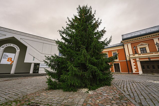 Kalėdų eglutė Teatro aikštėje Klaipėdoje