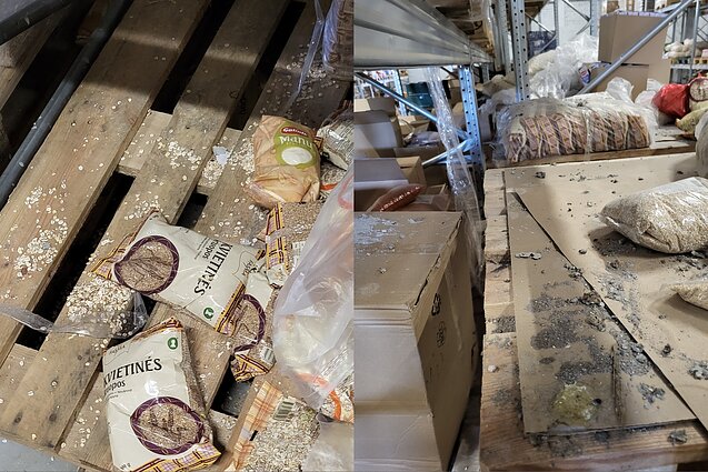 Sustabdyta UAB „Handelshus“ didmeninės prekybos veikla