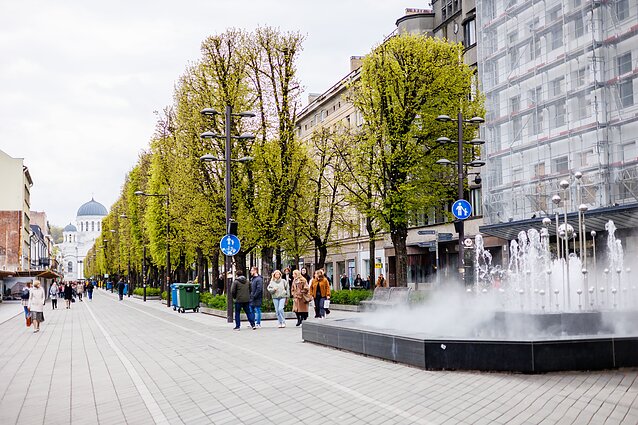 Kaunas, Laisvės al.
