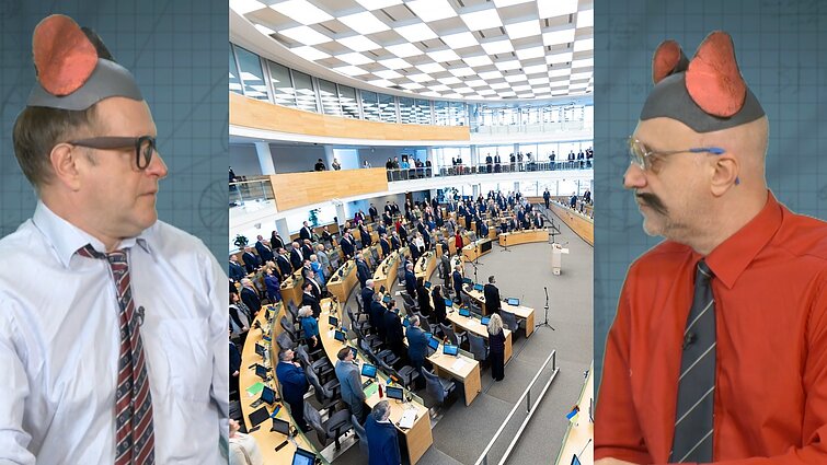 Peliukai apie Seimo narių skaičių: turi priklausyti nuo rinkėjų aktyvumo?