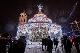 Vilniaus kalėdų eglė 2022 m. Vilniaus kalėdų eglė 2022 m.