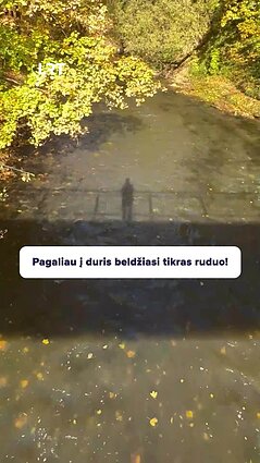 Auksinis ruduo jau čia!