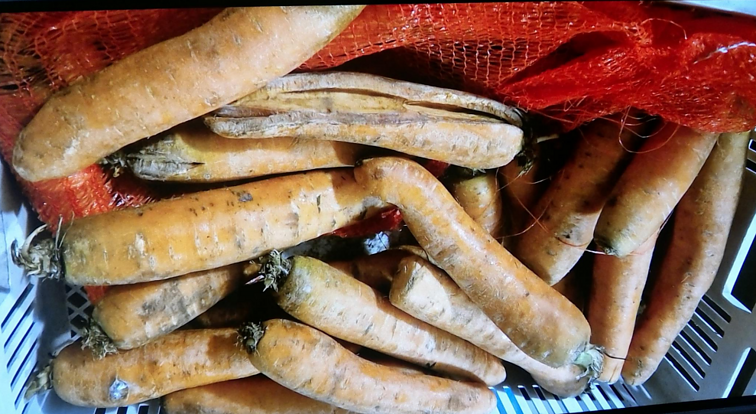 Maisto ir veterinarijos tarnyba laikinai sustabdė darželį maitinusios įmonės veiklą