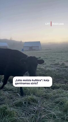 LRT RADIJO laidos vedėjai išbandė sūrio gamybą