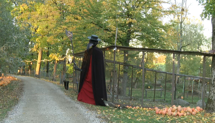 „Ne Helovinas, o Vėlinės!”: Taujėnų dvare įkurtas Vėlinių kiemelis