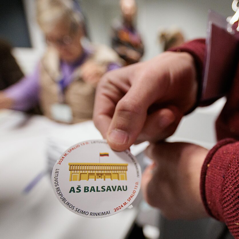 V. Raupelio  / LRT nuotr., Išankstinis balsavimas 2024 metų Seimo rinkimuose