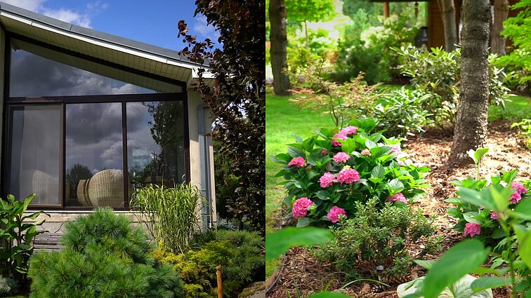 Gražiausios sodybos rinkimai: augalų kolekcija Ringauduose