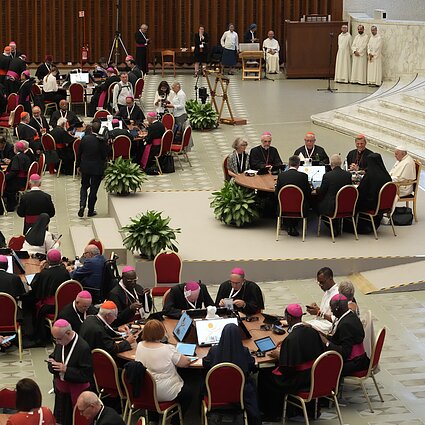 Ar sinodiškumas Bažnyčioje aprėpia ir visuomeninių klausimų svarstymą?