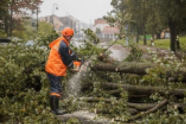 ESO išmoka kompensacijas dėl liepos audrų: kreipėsi ne visi patyrę nuostolių