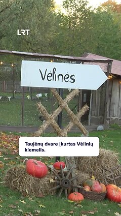 Taujėnų dvare įkurtas Vėlinių kiemelis