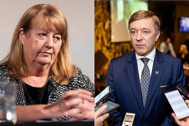 Anot politologo, būsimo Seimo forma – neaiški: viskas gali apsiversti vienmandatėse