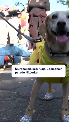 Niujorke surengta persirengusių šunų eisena!