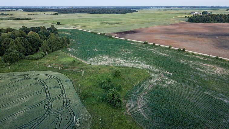 Lietuvoje ekologiškai dirbamos žemės plotai – mažiausi iš Baltijos šalių