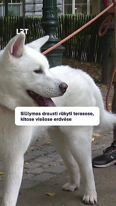 Ar reikia plėsti zonas be dūmų?