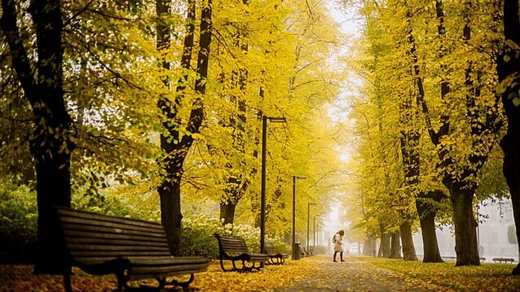 Šalna kandžiotis neskuba – artimiausiu metu ir toliau džiugins šiltos dienos