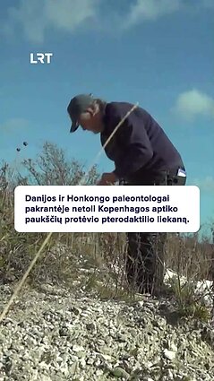 Danijoje aptikta pterodaktilio liekana!