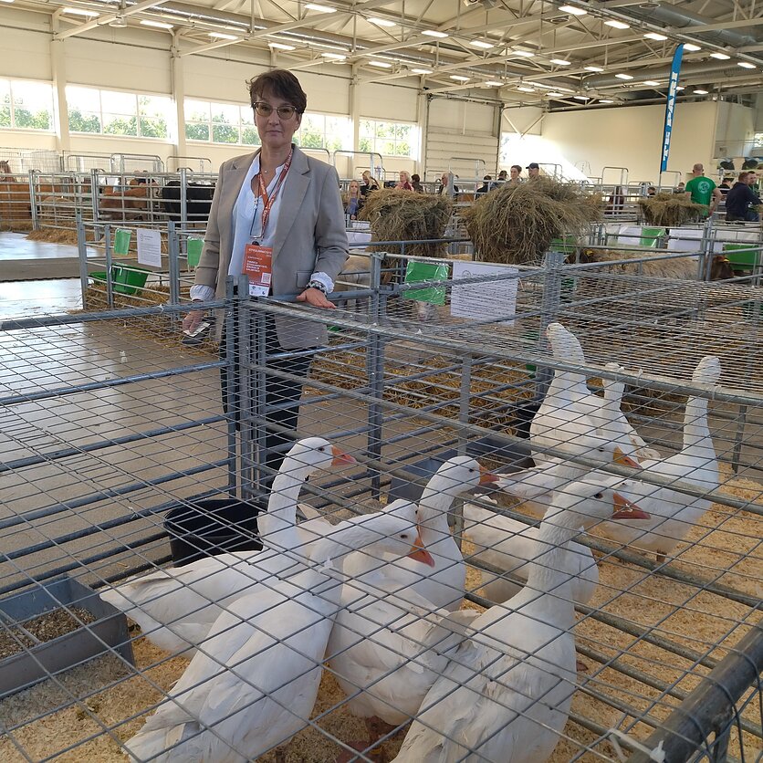 Regina Montvilienė, Ūkinių gyvūnų genetinių išteklių apsaugos koordinavimo centro vadovė Rūta Šveistienė ir vištinės žąsys