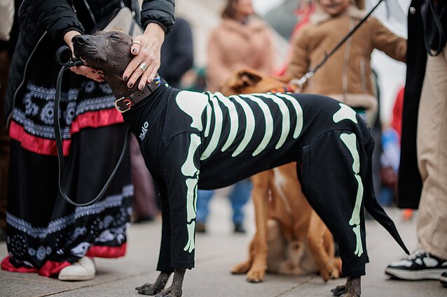 Día de los Muertos in Vilnius