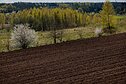Lietuva