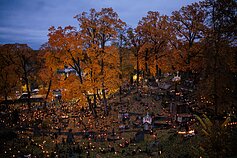 Vėlinių išvakarės. Rasų kapinės