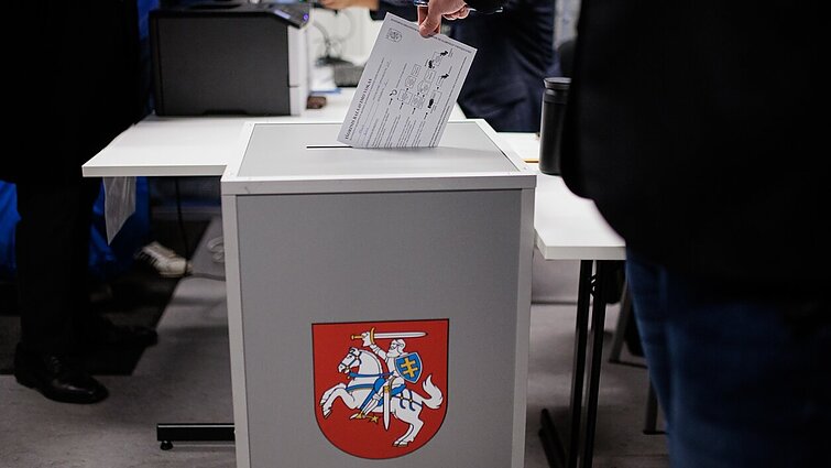 Naujokų sėkmę rinkimuose aptarusi Tvaskienė: jiems atleidžiama daug nuodėmių, juk „savi“