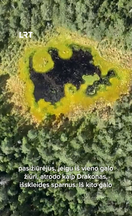 Ką jums primena šis ežeriukas?