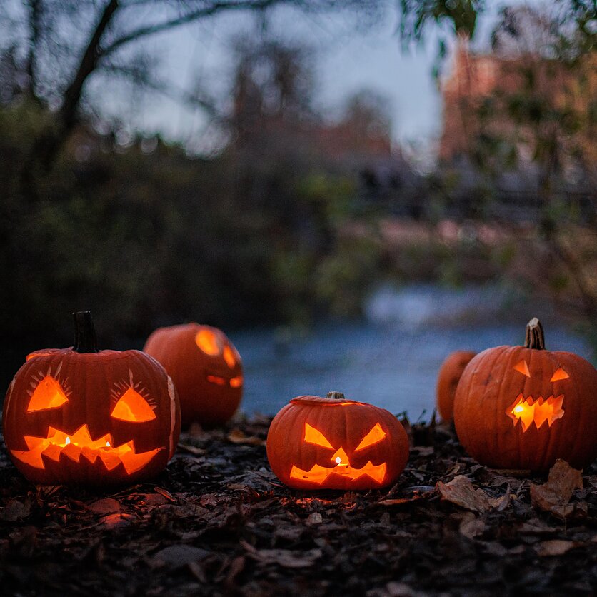 J. Stacevičiaus / LRT nuotr., Helovinas Užupyje
