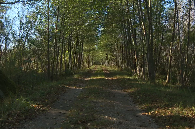 Pamario kraštovaizdis