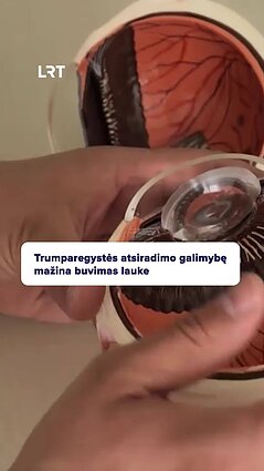 Kas padeda saugoti akis?