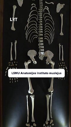 Ar norėtumėte apsilankyti LSMU Anatomijos instituto muziejuje?