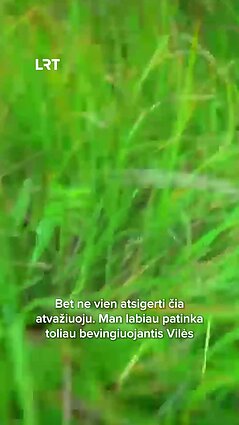 Čepulis užklimpo upelyje – padėjo kupstelis!