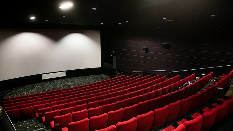 Nuo žaismingų pingvinų iki kaimynų paslapčių: premjerų įvairovė kino teatruose