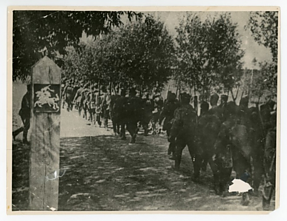 Совєтські війська переходять державний кордон Литви, 1940 р.