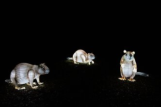 Šviesos ir žibintų festivalis Rumšiškėse