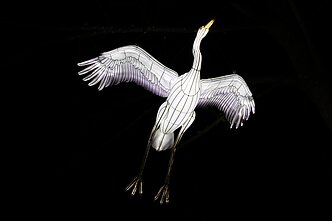 Šviesos ir žibintų festivalis Rumšiškėse