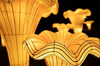 Šviesos ir žibintų festivalis Rumšiškėse