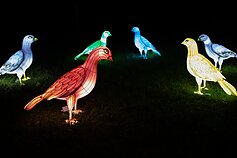 Šviesos ir žibintų festivalis Rumšiškėse