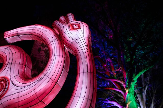 Šviesos ir žibintų festivalis Rumšiškėse