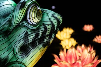 Šviesos ir žibintų festivalis Rumšiškėse