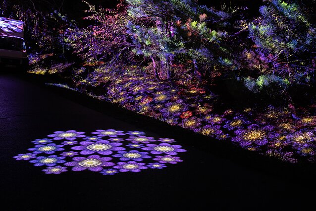 Šviesos ir žibintų festivalis Rumšiškėse