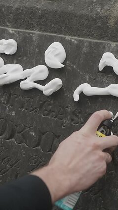 „Miręs Vilnius. Rasų kapinių istorijos“