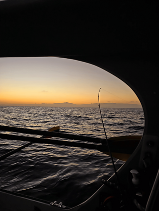 Aurimas Mockus Ramiajame vandenyne