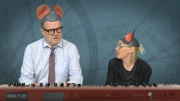 Peliukai apie savo santykį su moliūgais: esame moliūgo įstiklintame balkone laikytojai?